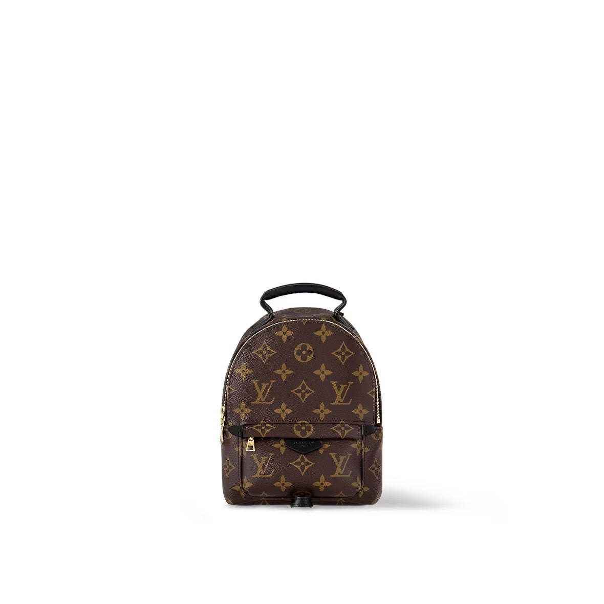 Louis Vuitton Palm Springs Mini